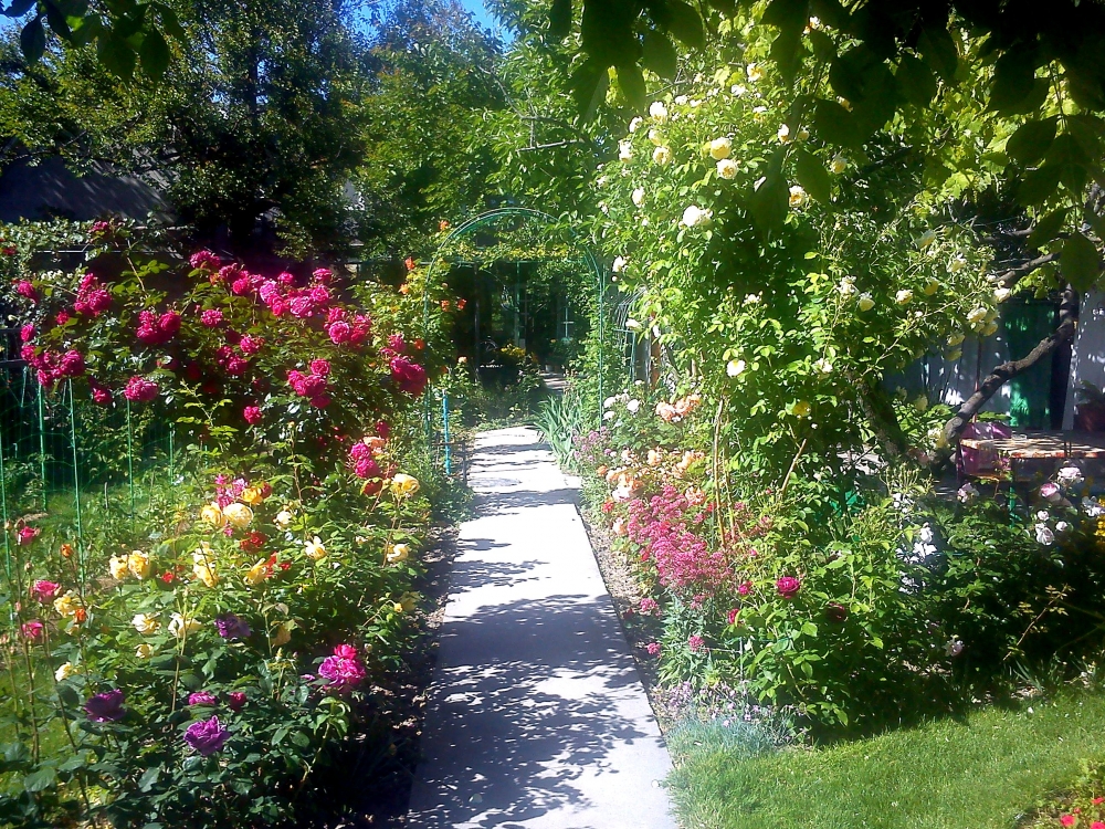 Комнаты на 2-4 человек #11