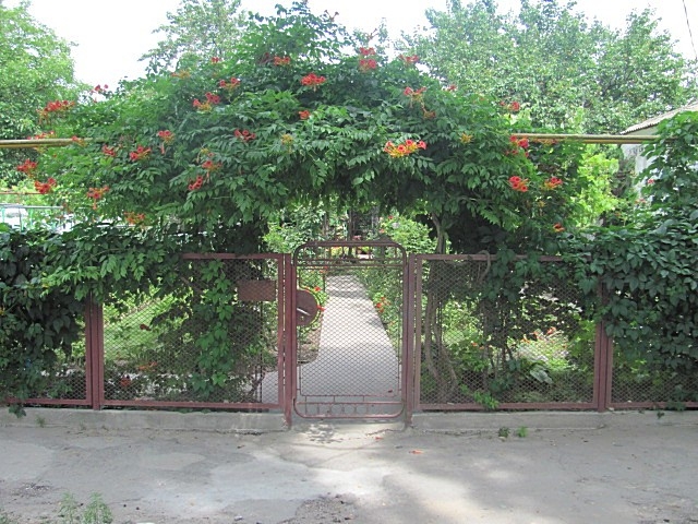 Комнаты на 2-4 человек #12