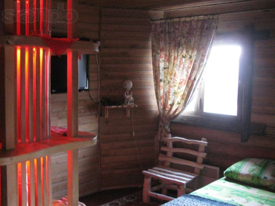 Сдам дом-сруб #5