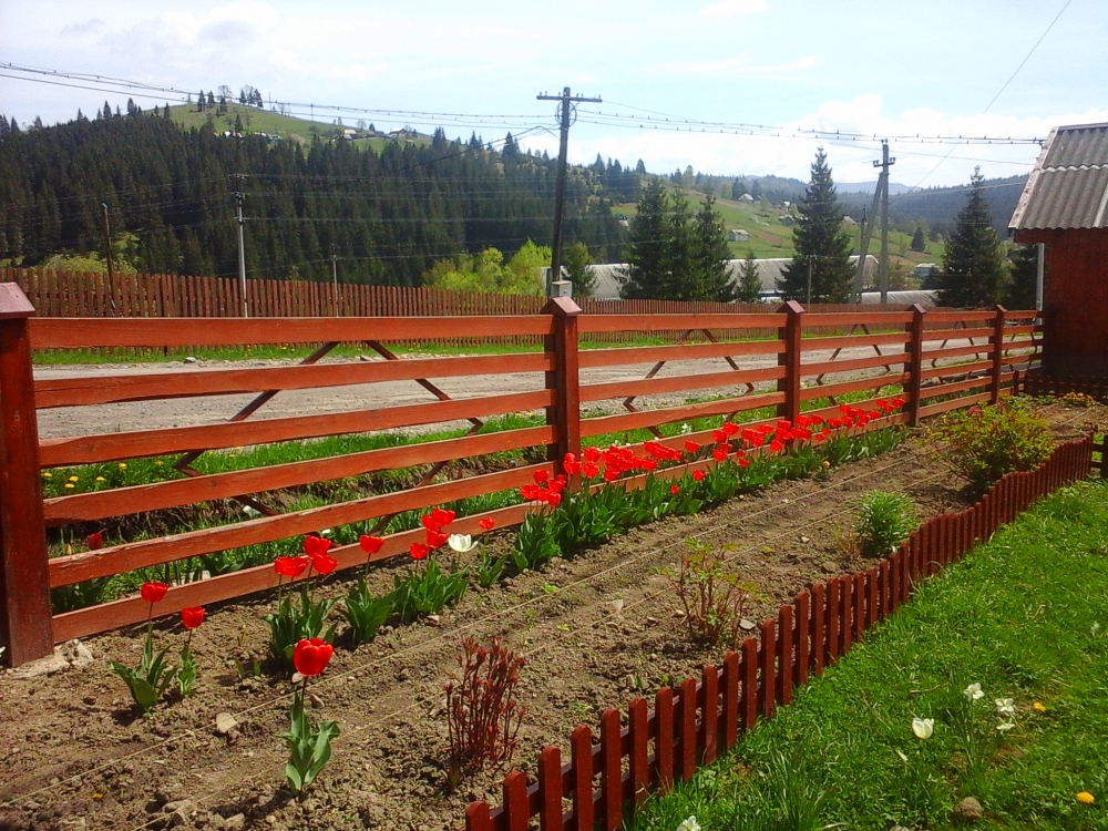 Приватна садиба «Ромашка» #3