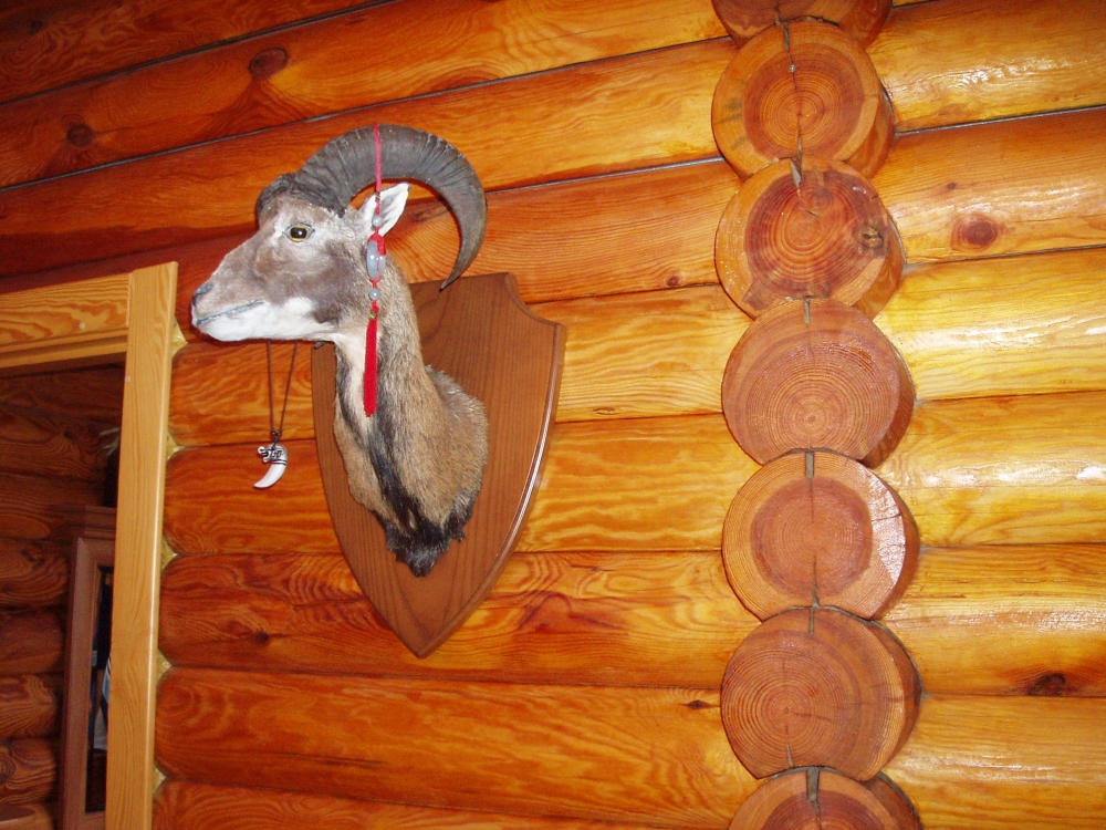 Дом в райском уголке на берегу реки #7