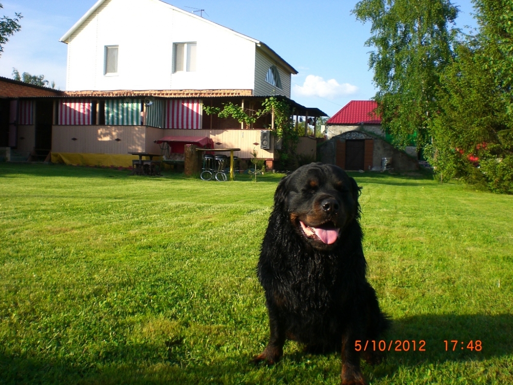 Сдам уютную дачу для отдыха #10