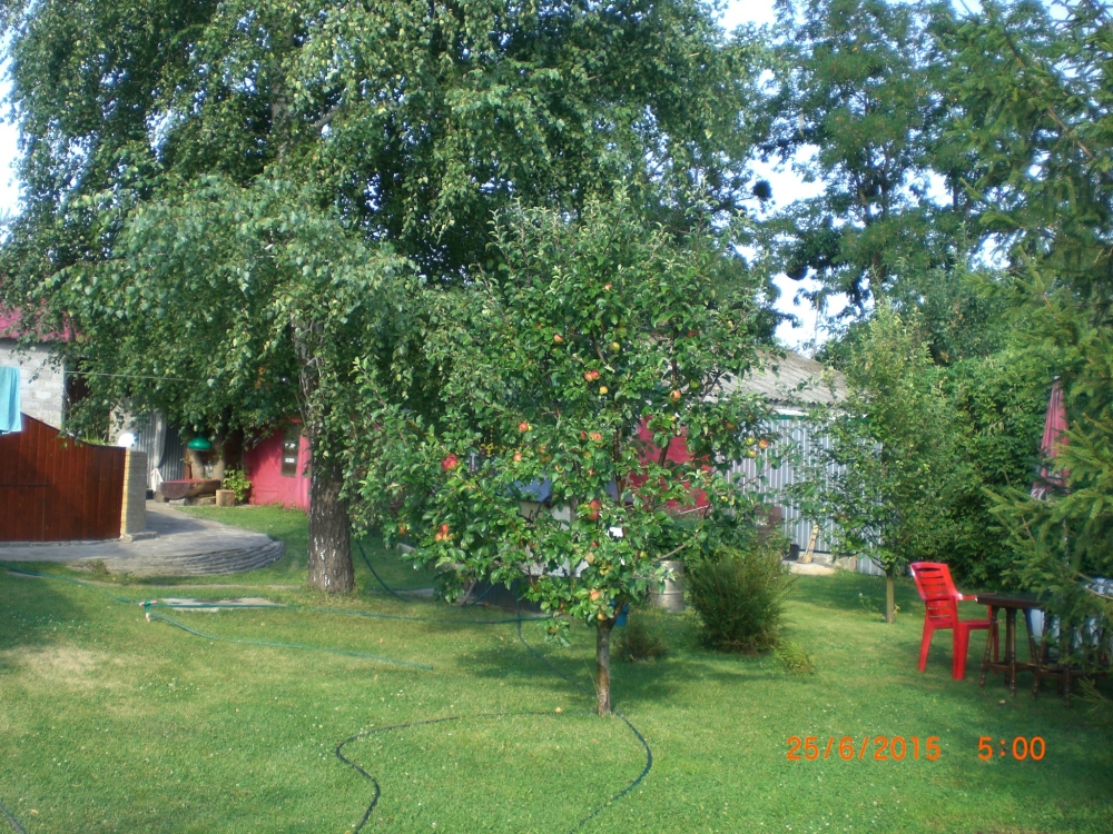 Сдам уютную дачу для отдыха #11