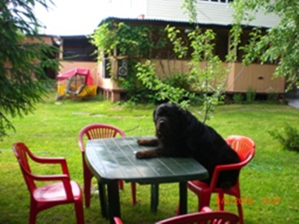 Сдам уютную дачу для отдыха #15