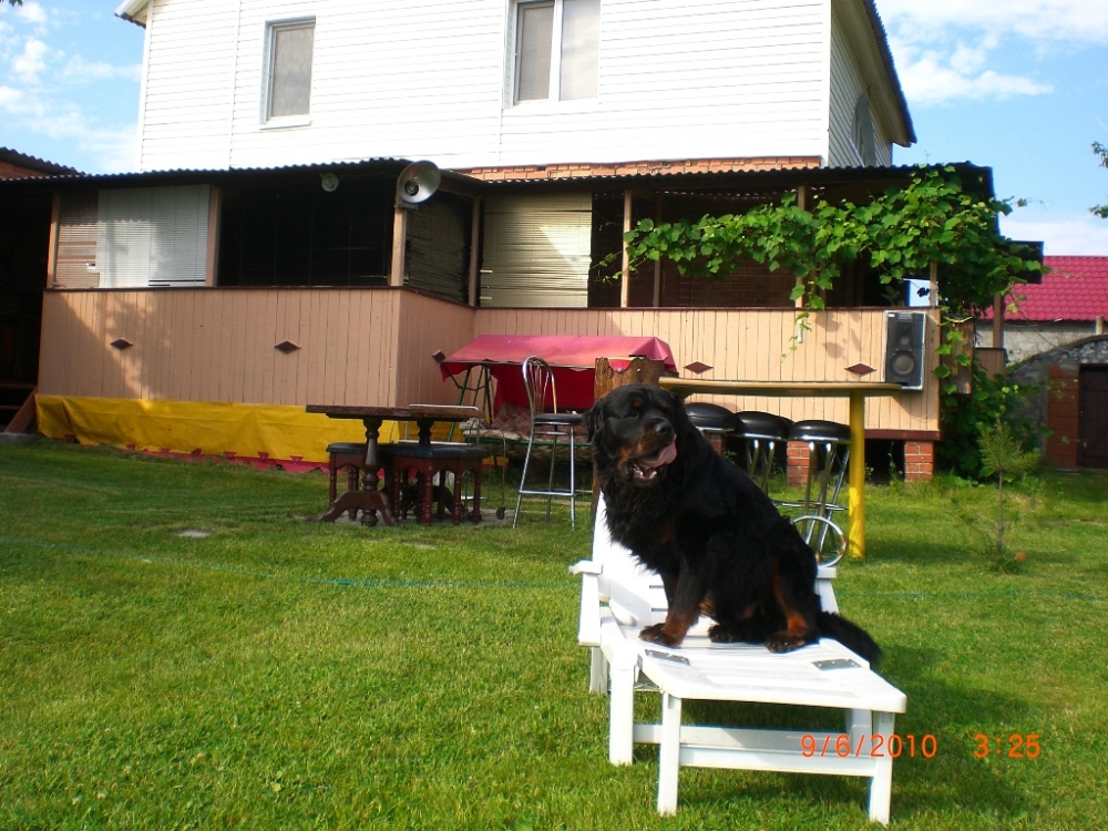 Сдам уютную дачу для отдыха #16