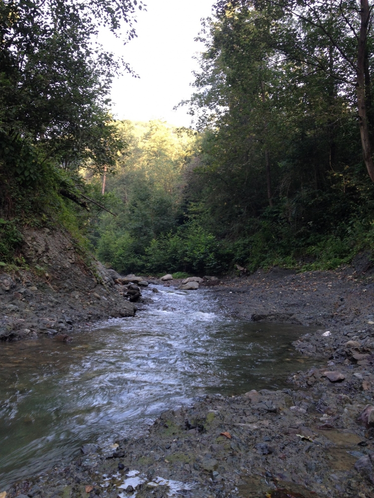 Отличное место для отдыха в Карпатах на територии... #3