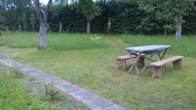 Отличное место для отдыха в Карпатах на територии... #6