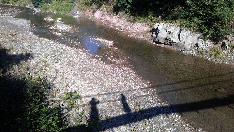 Отличное место для отдыха в Карпатах на територии... #7