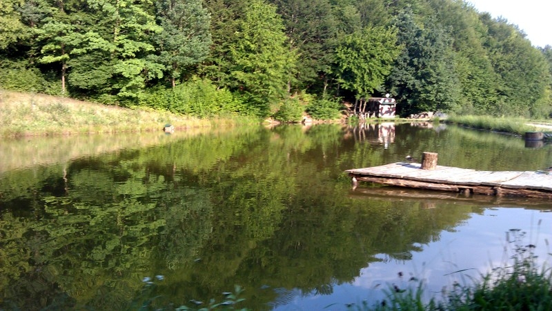 Отличное место для отдыха в Карпатах на територии... #8