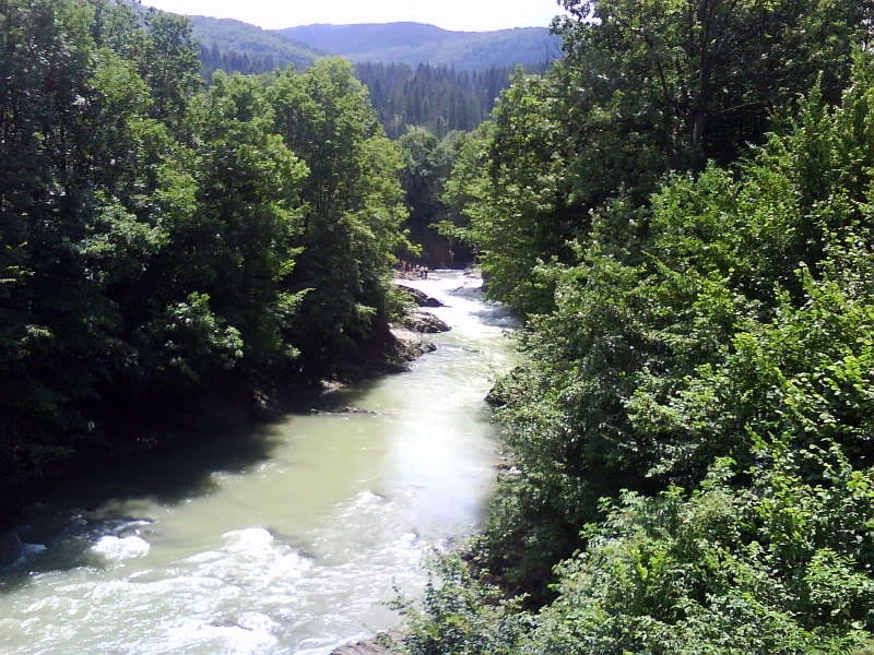 Отличное место для отдыха в Карпатах на територии... #14