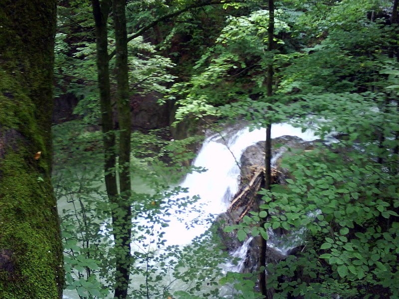 Отличное место для отдыха в Карпатах на територии... #17