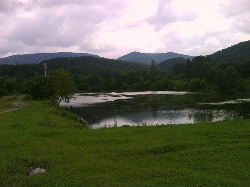 Отличное место для отдыха в Карпатах на територии... #19