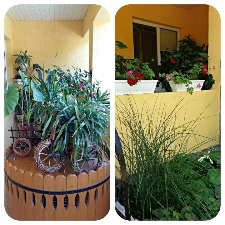 Посуточно 2-ком. дом в Берегово, 300м от бассейна #10