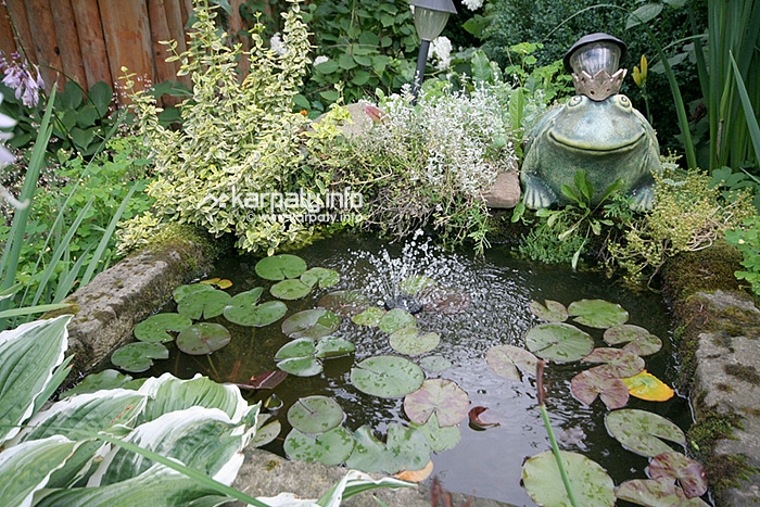 Частная усадьба РоманS #8