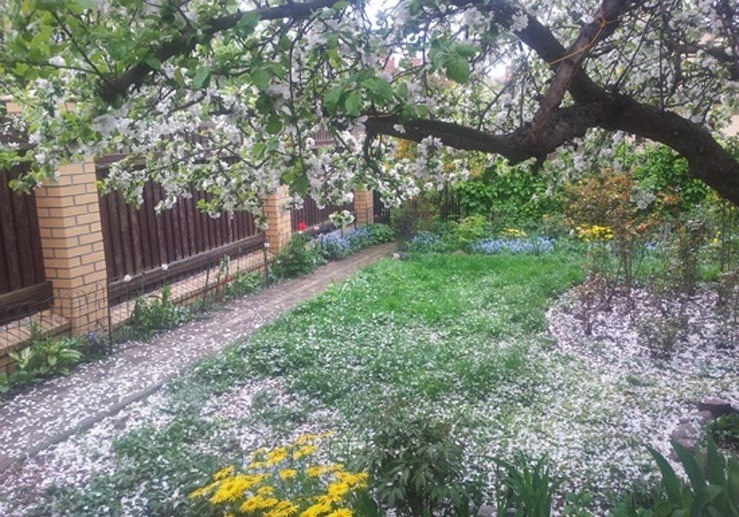 Туристам нужен большой дом #2