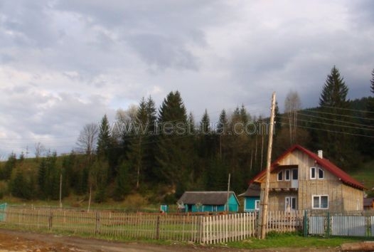 Отдых в Карпатах с.Верховина #8