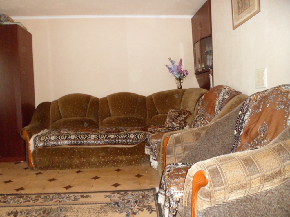 Дом рядом с озером и лесом #2