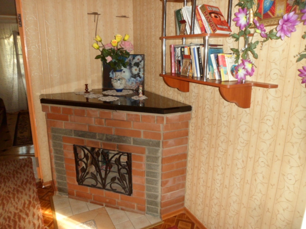 Дом рядом с озером и лесом #5