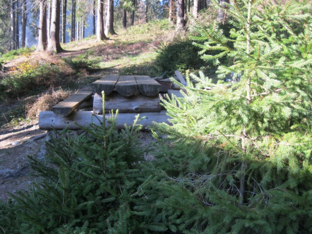 Коттедж «Анастасія» #4