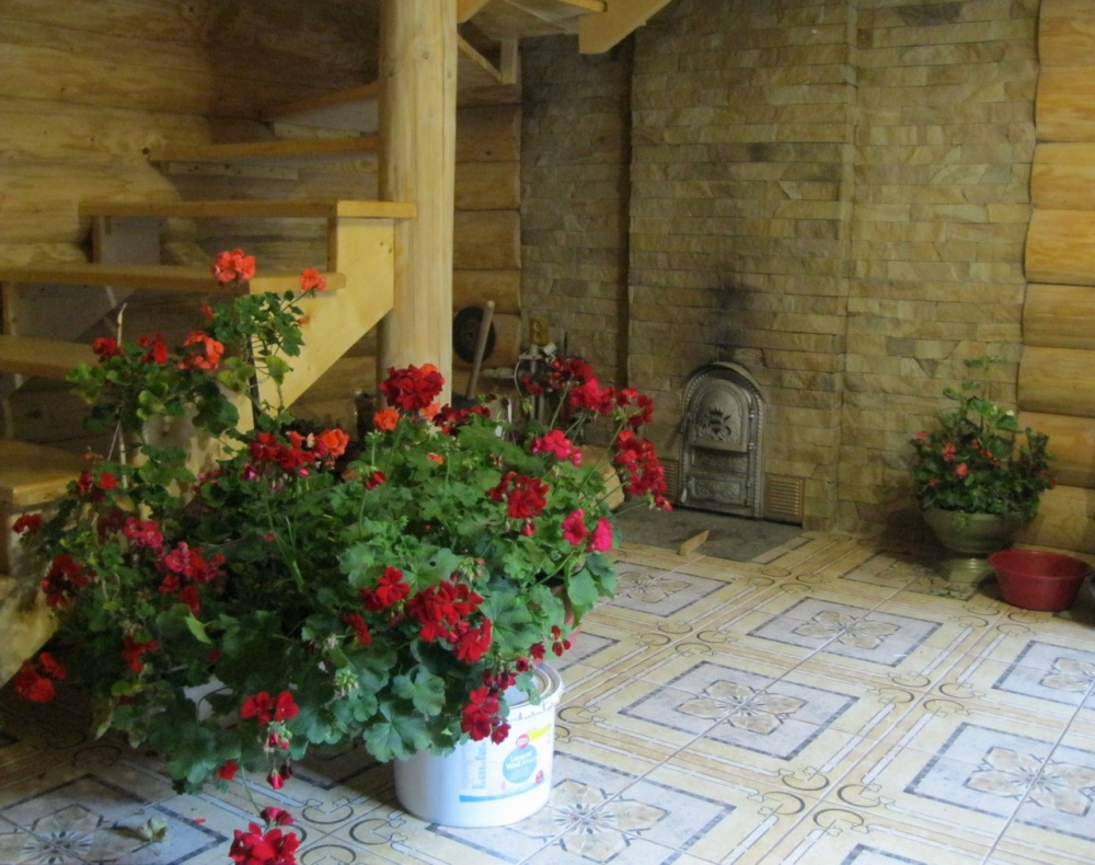 Коттедж «Анастасія» #9