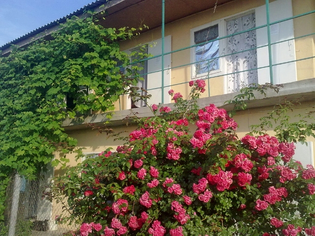 Эконом жилье в частном секторе #4