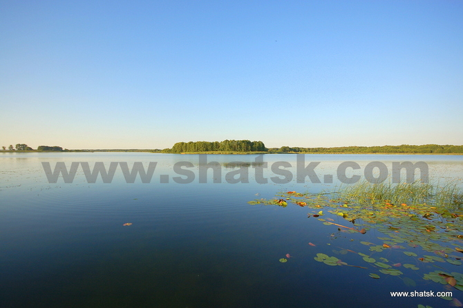 Котедж в Світязі #2