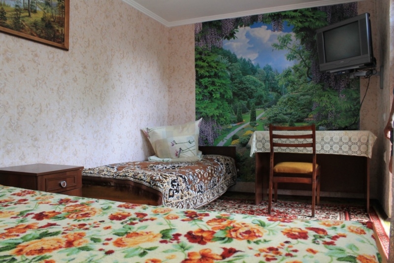 Отдых в отдельном доме на озере Свитязь #9