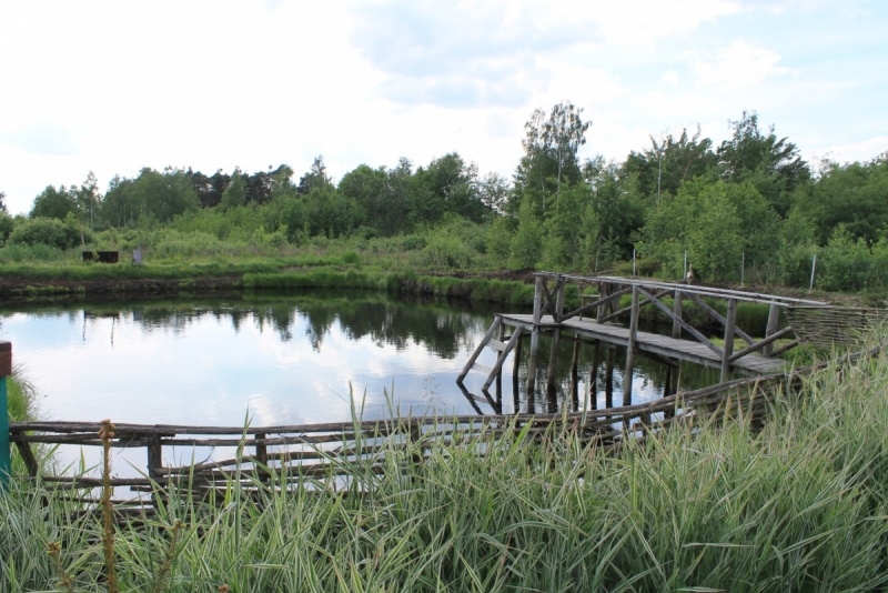 Отдых в отдельном доме на озере Свитязь #13