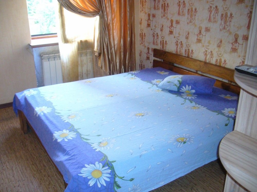 Дом недалеко от ст.м.Киевская с бассейном 5*5м на... #2