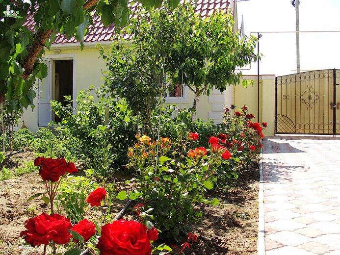 Загородный дом на берегу Черного моря #7