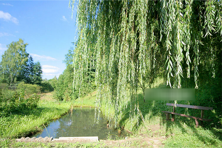 Котедж «ЯРИНКА-ГОРЯНКА» #2