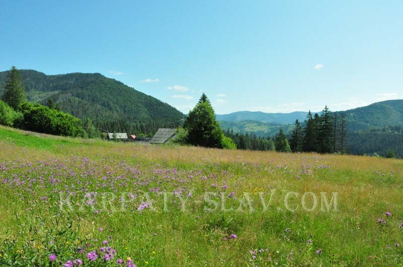 Усадьба «Краса Карпат