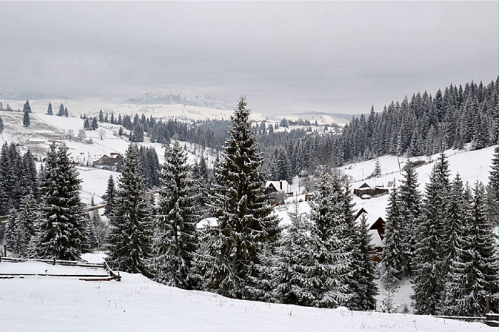 Усадьба «JAZZ ХАТА» #11