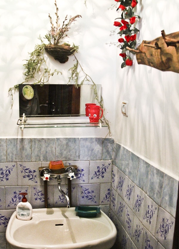 Усадьба «Файна Чічка» #6