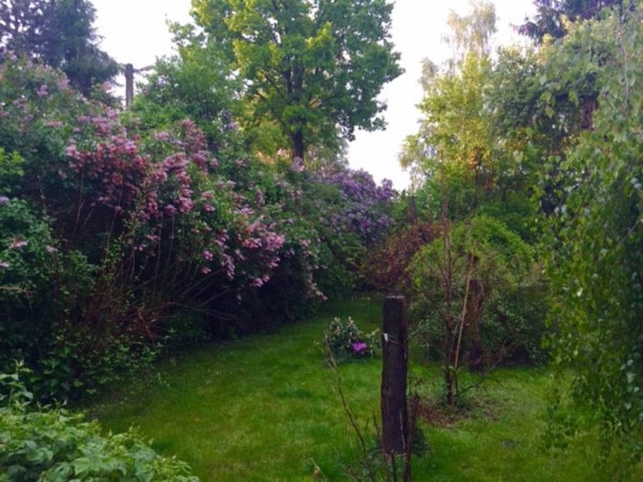 Прованский дом во Львове в парковой зоне #2