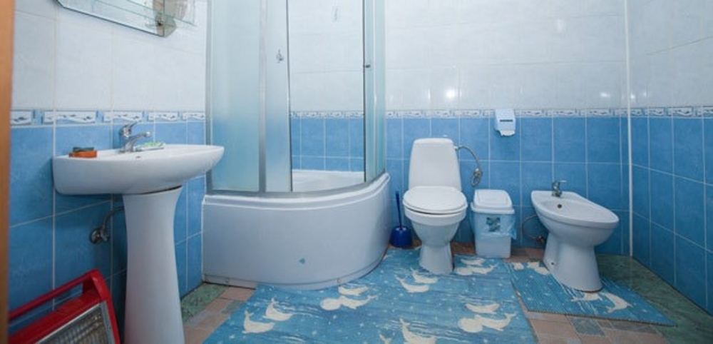 Коттеджи «У Василя» #7