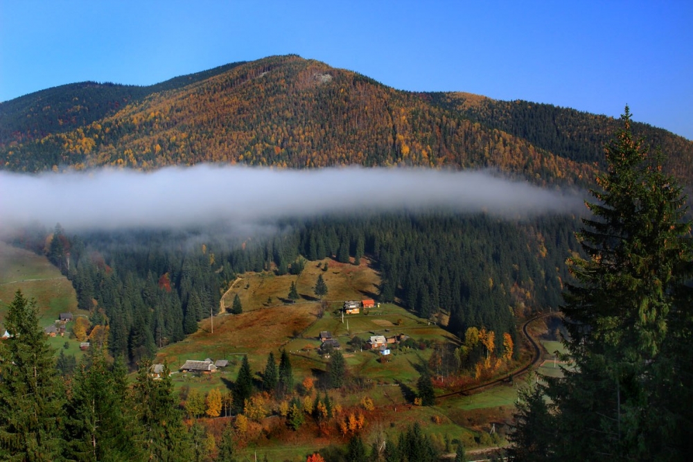 Частная усадьба 