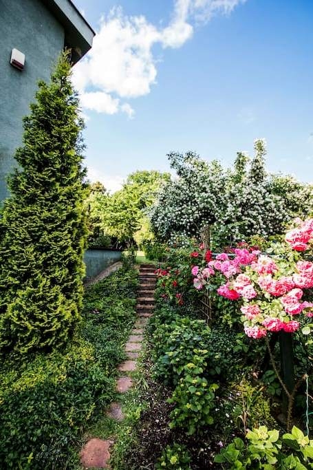 Практичность и лаконичность виллы посуточно  #3