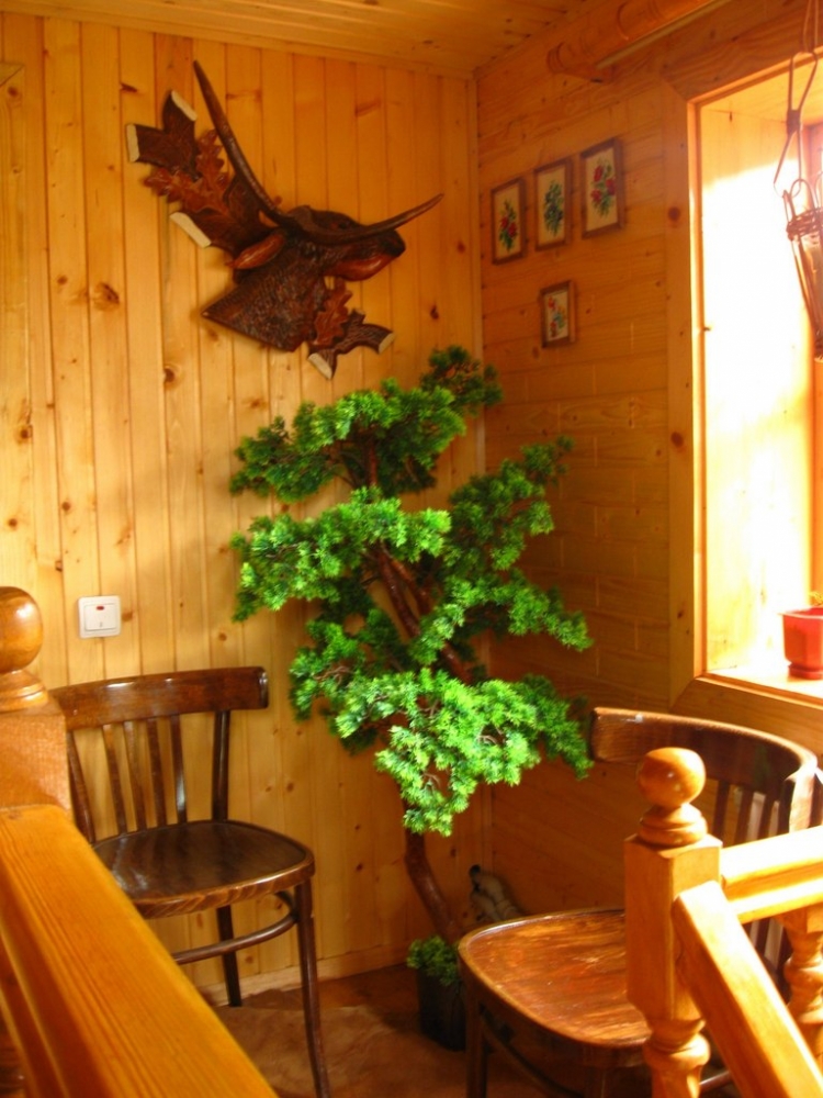 Частная усадьба 