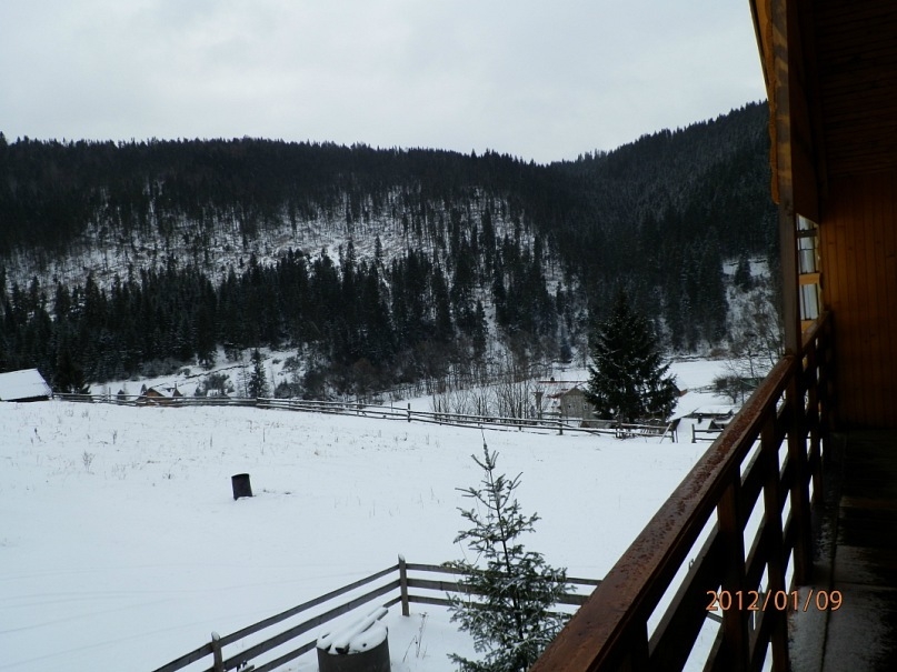 Частная усадьба 