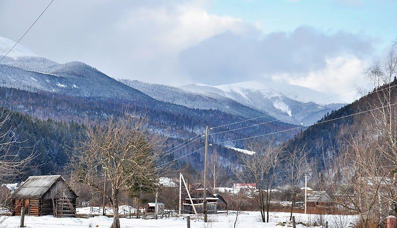 Частная усадьба 