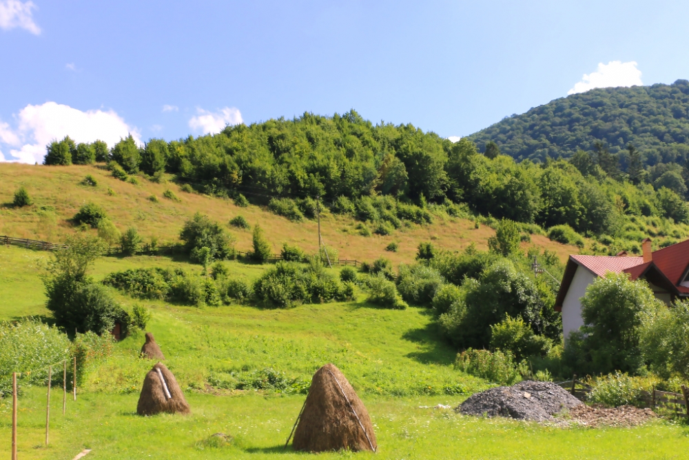 Аренда дома/комнат в Карпатах #5