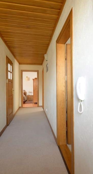 Только что построенный особняк #12