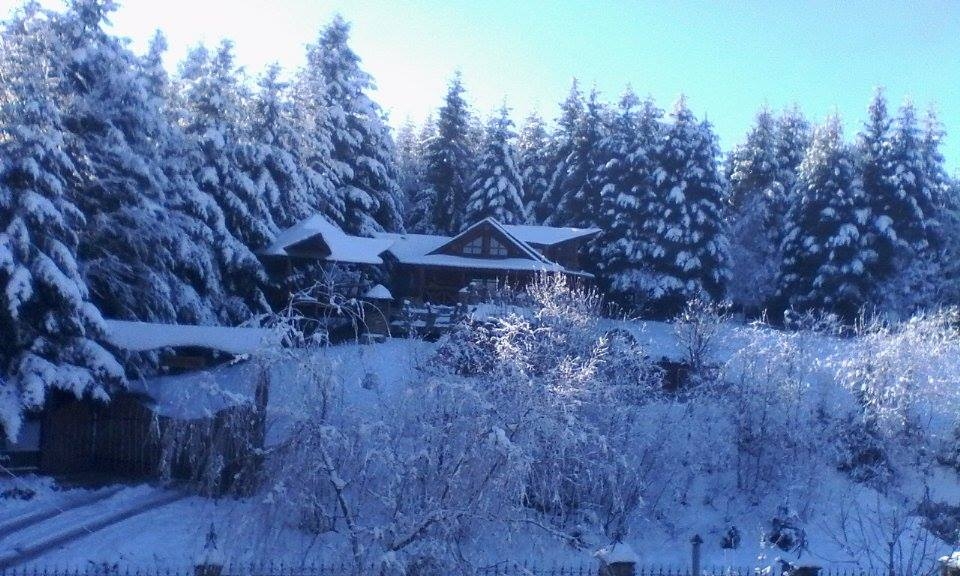 Коттедж «FOREST HOUSE EXCLUSIVE» #10