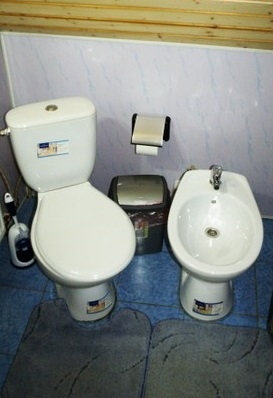  Паляница, частный двухэтажный деревянный дом гост... #7