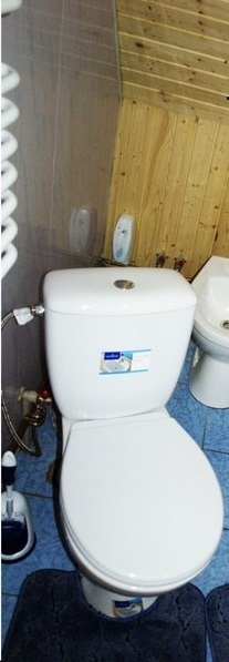  Паляница, частный двухэтажный деревянный дом гост... #9