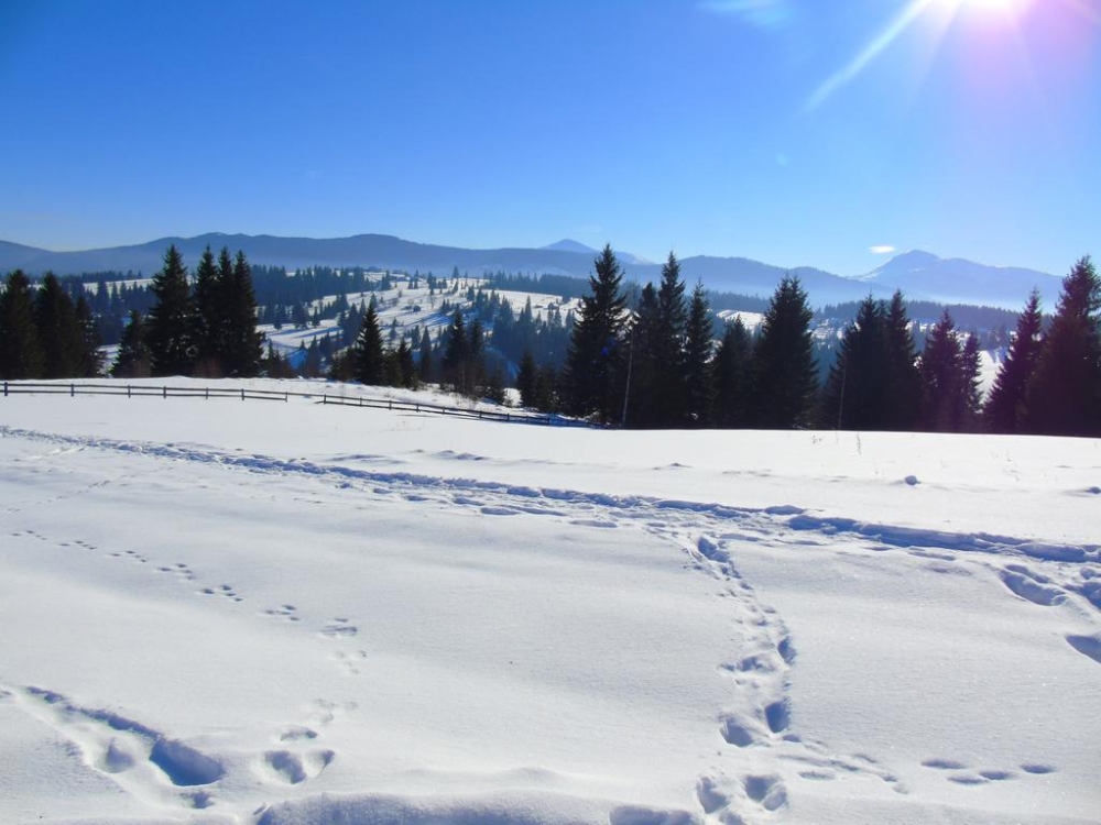 2 Яблуница Двухэтажный дом на 8 человек Карпаты зи... #4