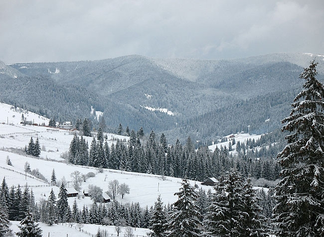 2 Яблуница Двухэтажный дом на 8 человек Карпаты зи... #26