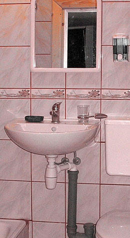 2 Яблуница Двухэтажный дом на 8 человек Карпаты зи... #29