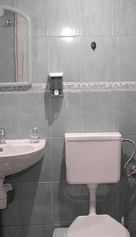 2 Яблуница Двухэтажный дом на 8 человек Карпаты зи... #30